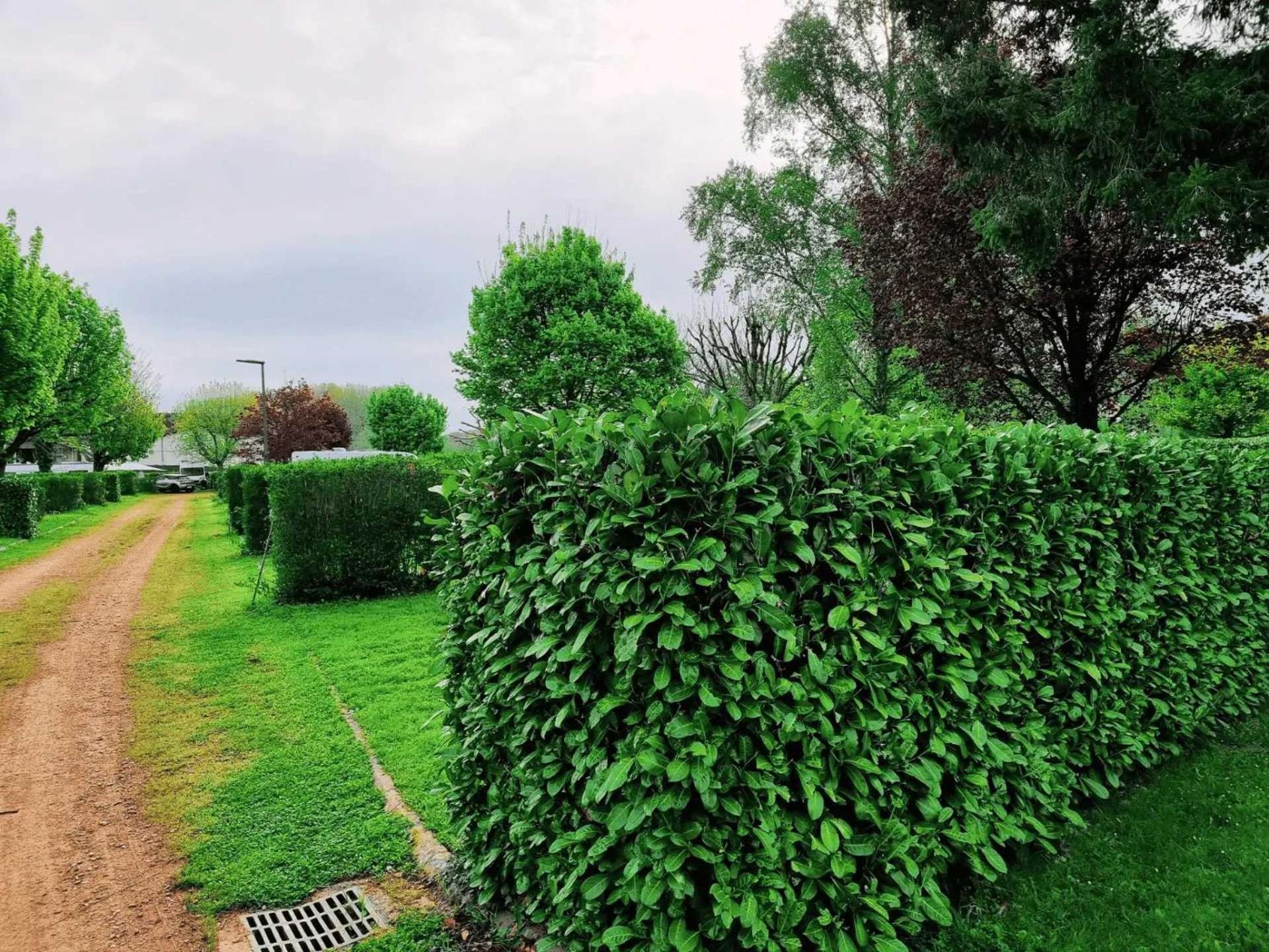 Camping De Charlieu - Mobile Home Bagian luar foto
