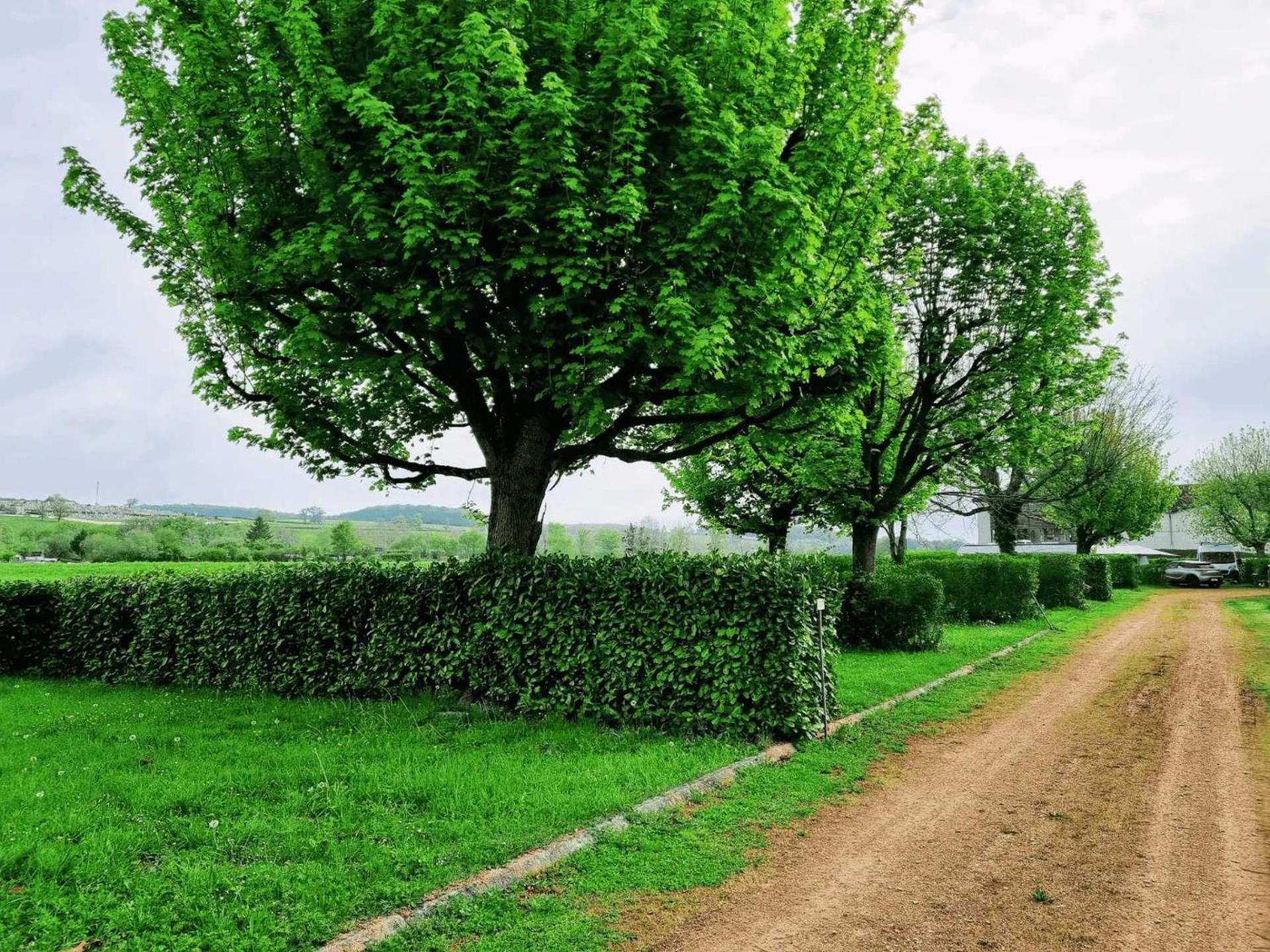 Camping De Charlieu - Mobile Home Bagian luar foto